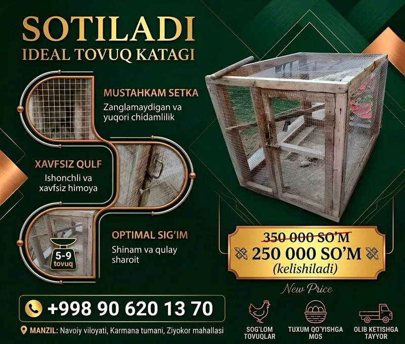 Tovuq katagi ideal holatda 1