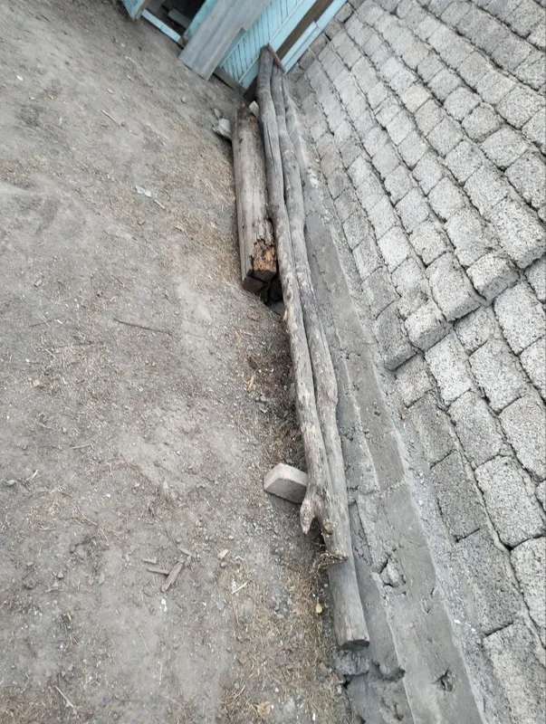 Тусин холати зур donasi 150000