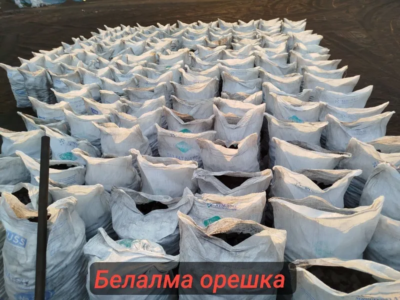 Кумир, Угол, Белолма оптом 5
