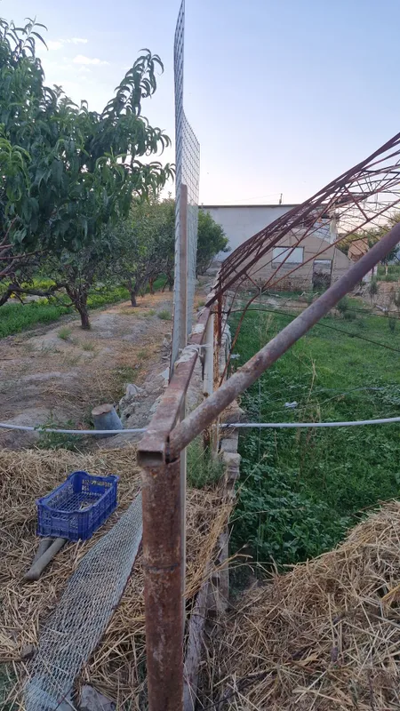 3 sotix (taxminan 300-333 m²) yer uchun issigxona yoylari Sifatli meta 3 3 sotix (taxminan 300-333 m²) yer uchun issigxona yoylari Sifatli meta 3