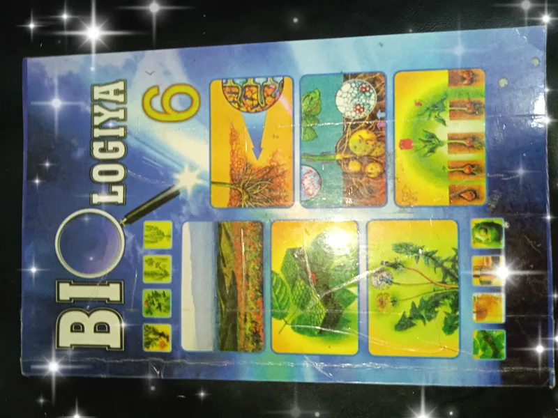 kitob