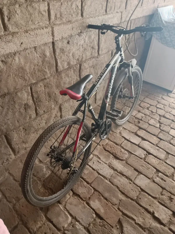 Velosiped sayvan