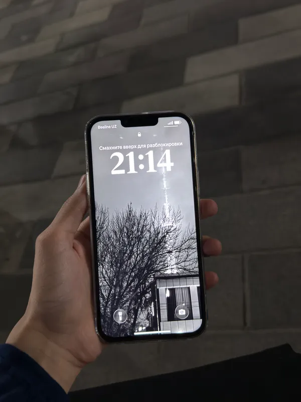 Iphone 13 pro max 3