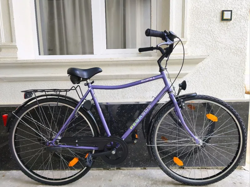 Pegasus 28 velosipedi
