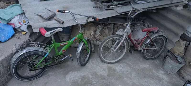 velosiped velik.  20 razmeri bor