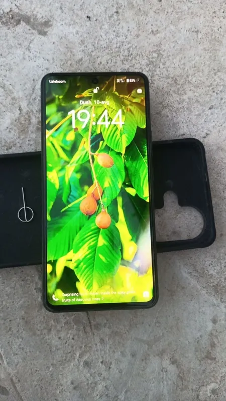 Vivo 1 Vivo 1