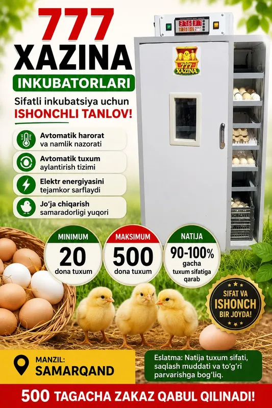 Услуги инкубатора 1