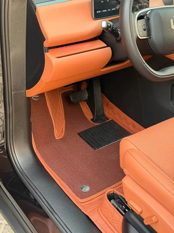 LeapMotor polik sifati yahwisi zori 2 LeapMotor polik sifati yahwisi zori 2