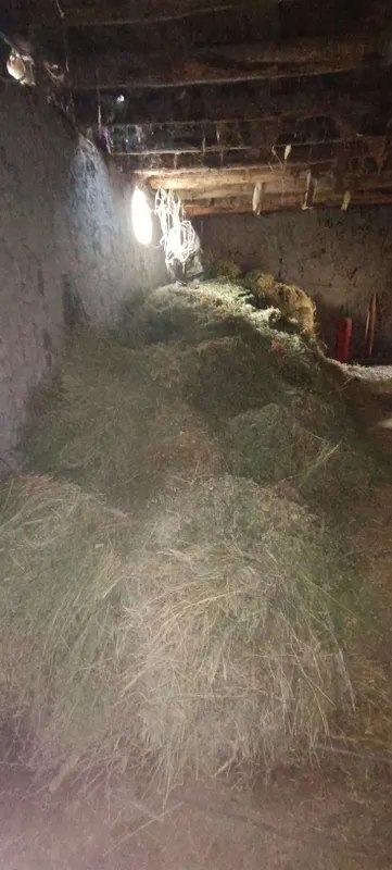 Беда Ути сотилади — фото 1
