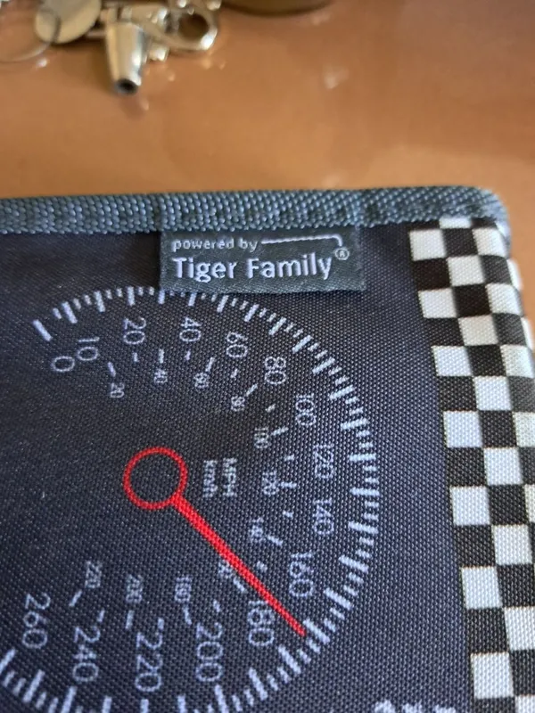 Maktab penal qutisi "Tiger Family" 3
