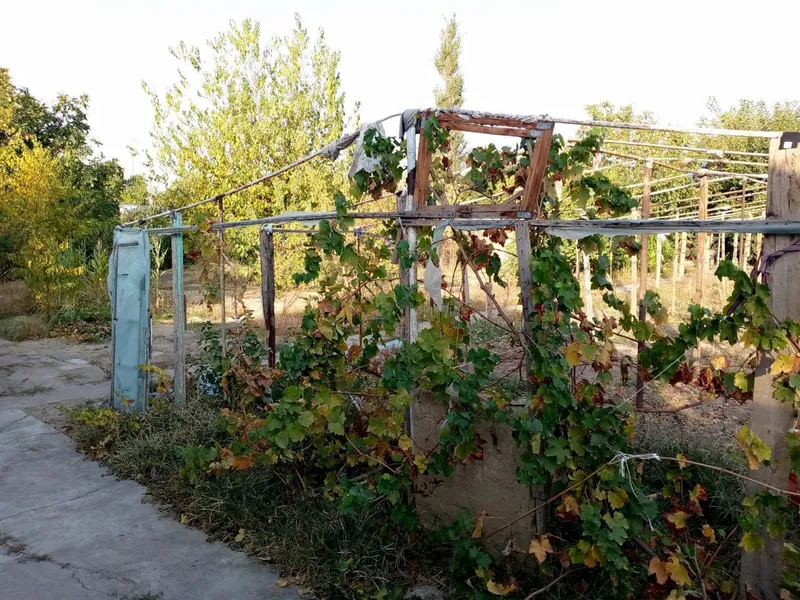 Продаётся дом участок 12 сотак Пскент 4 Продаётся дом участок 12 сотак Пскент 4