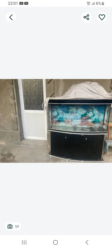 Аквариум 500 л Продаётся
