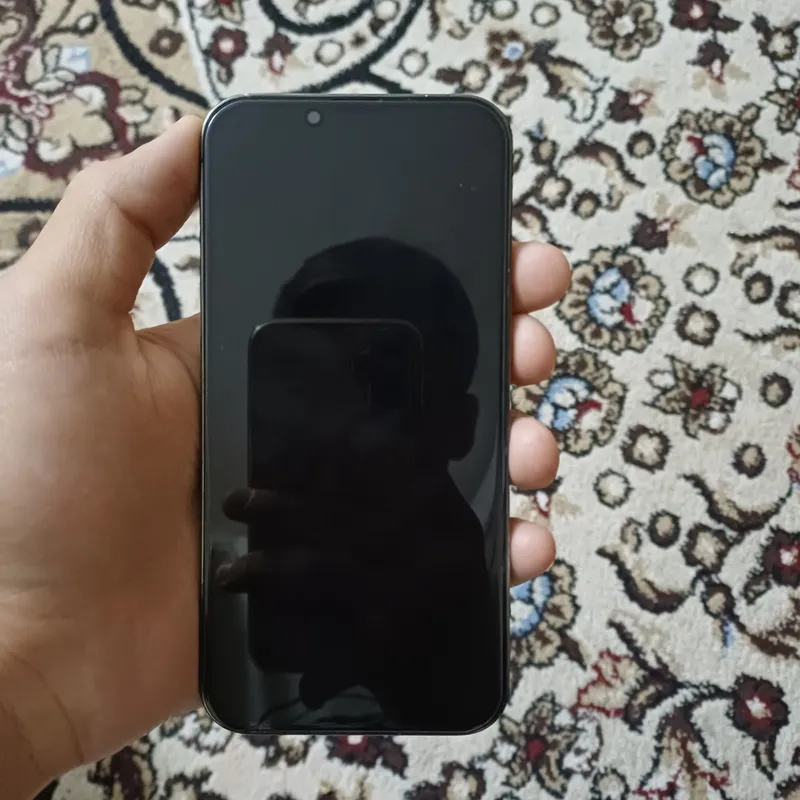 13 pro 1