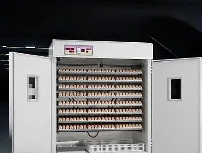 Инкубатор Хизмати