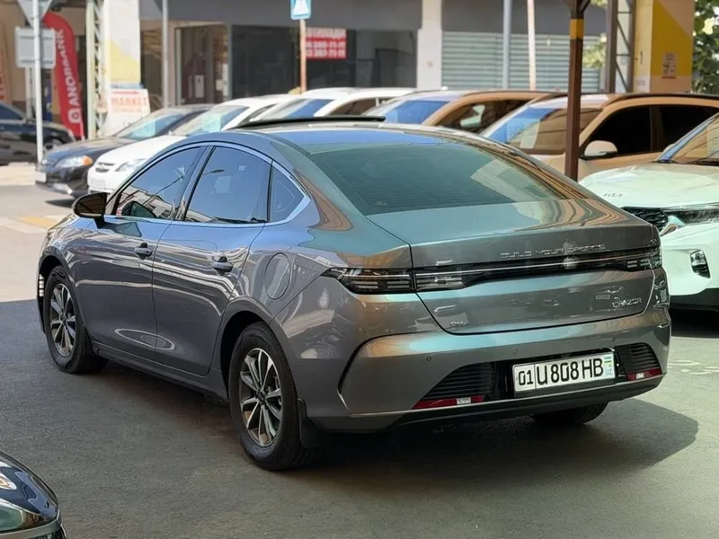 Byd Chazor 2026 2 lux pz 2 Byd Chazor 2026 2 lux pz 2