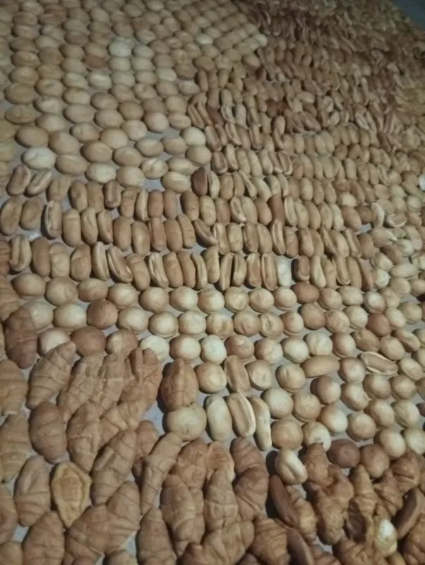 Toza quritilgan non maxsulotlari (yem sifatida) 3 Toza quritilgan non maxsulotlari (yem sifatida) 3