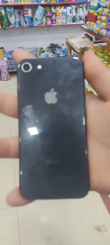 Apple 8 3