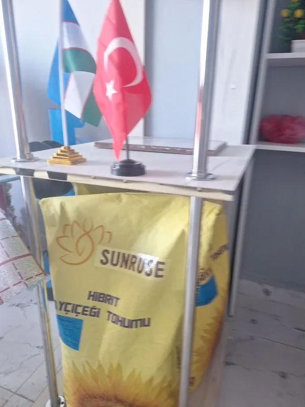 Kungaboqar URUGLARI, TURKIYA. Семена Подсолнухи