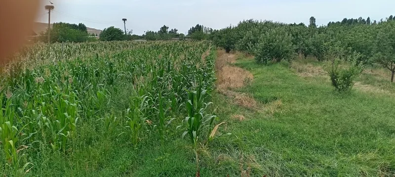 Продаётся дачный дом 6 Продаётся дачный дом 6