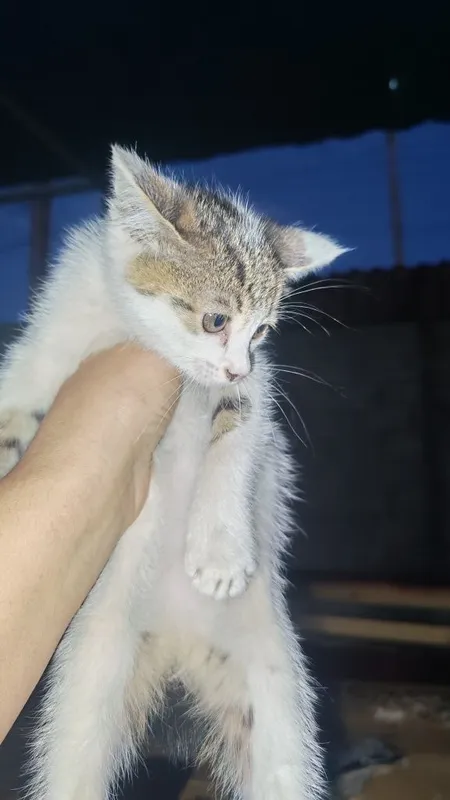 Xadyaga beriladi boqaman deganlar aloqaga chiqdim 1 Xadyaga beriladi boqaman deganlar aloqaga chiqdim 1