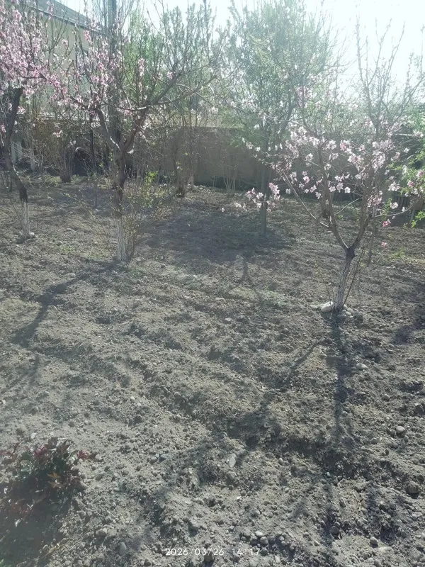 Fargona shaxar Beshbolada 3 so tix er sotiladi — фото 2