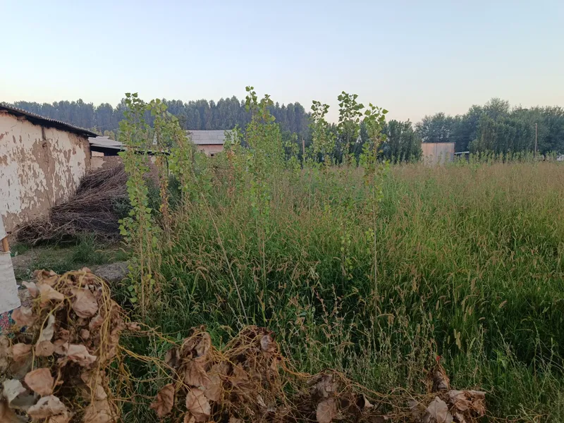 Uchaska sotiladi manzil Toshkent viloyati Boʻka tumani Lesinka qishlog 5 Uchaska sotiladi manzil Toshkent viloyati Boʻka tumani Lesinka qishlog 5