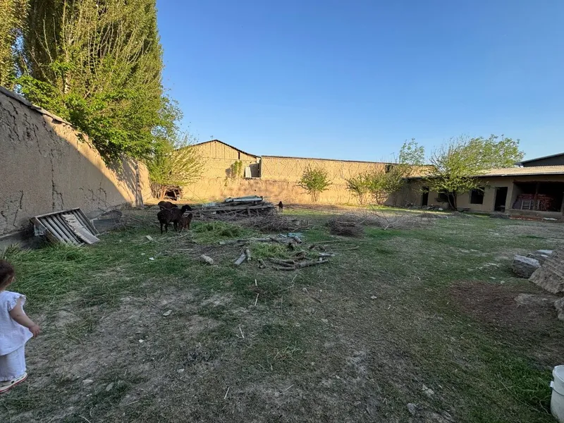 Коксарой Атп парцез 11 сотих ер