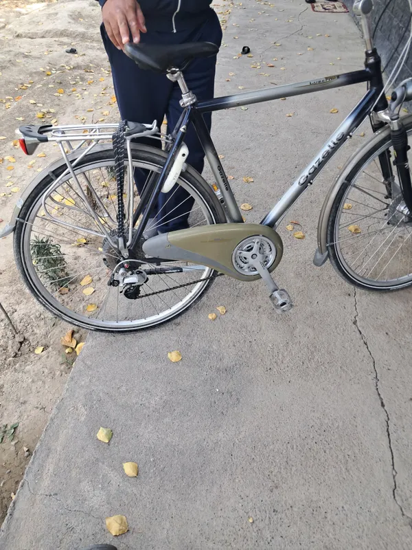 Велосипед Gazelle 3 Велосипед Gazelle 3