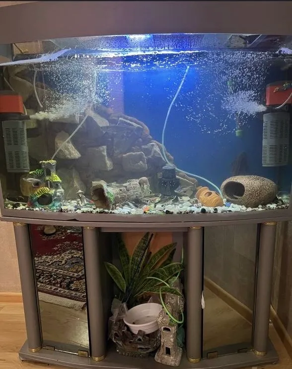 Akvarium 1 Akvarium 1