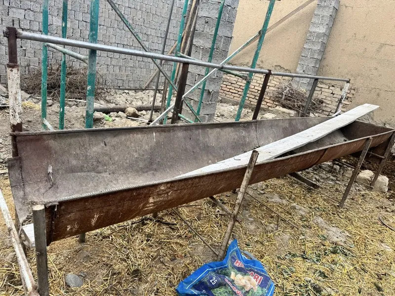Mol oxir 6talik tayyor narsa
