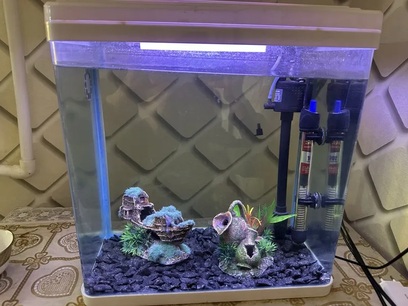 Akvarium 30 litr hamma narsasi bilan