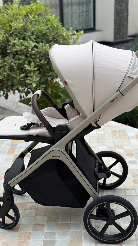 Детская коляска Carrello Vector 2в1. — фото 3