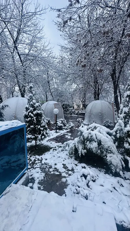 Tayyor kapsulalar sotiladi. 8 Tayyor kapsulalar sotiladi. 8