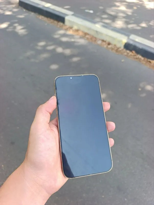 Iphone 13 pro max ideal 3