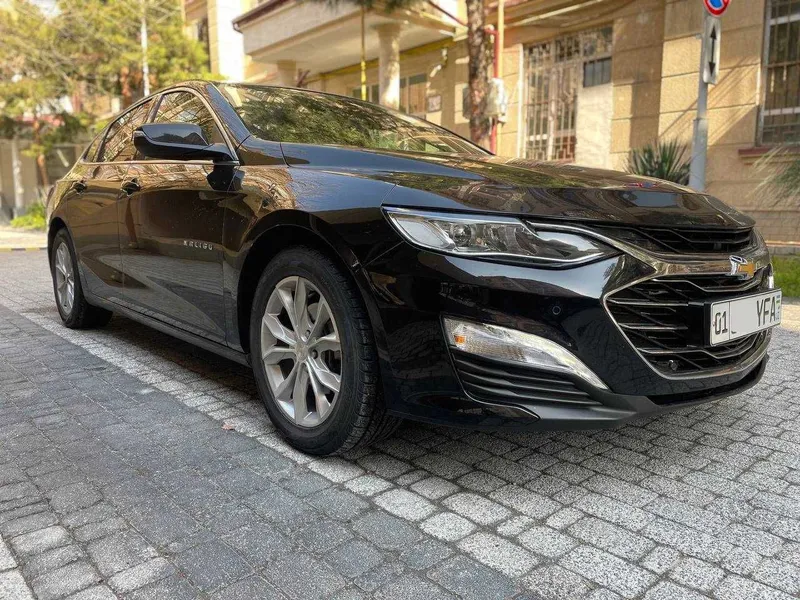 Малибу Премьер / MALIBU PREMIER 2021 1 Малибу Премьер / MALIBU PREMIER 2021 1