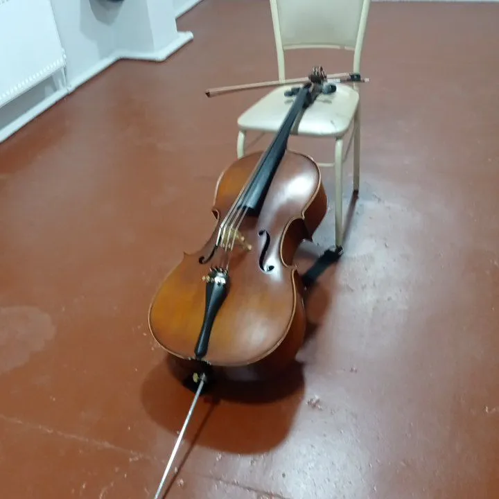 Violanchel / Musiqa asbobi