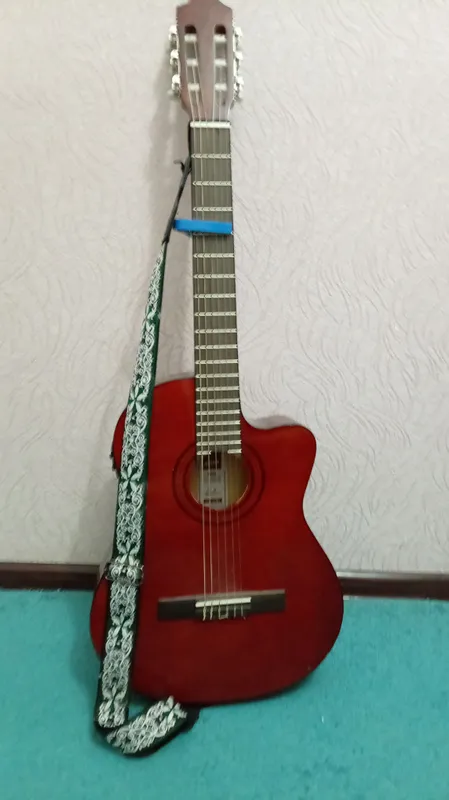 Ashton gitara 2 Ashton gitara 2