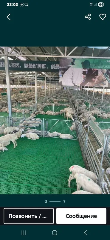 Qoy qoʼra va tovuq katak zakazga yasab beramiz — фото 1