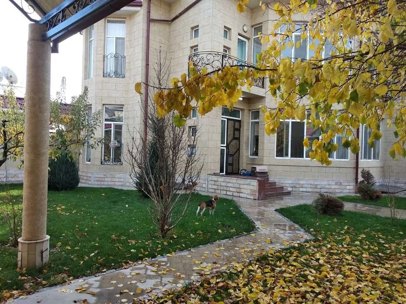Аренда евро дома в центре столицы 3