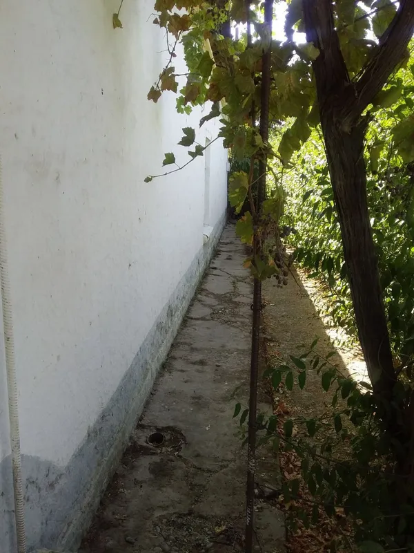 Jomboy tumani Dehqonobod mahallasida 10,2 sotix hovli sotiladi 3 Jomboy tumani Dehqonobod mahallasida 10,2 sotix hovli sotiladi 3