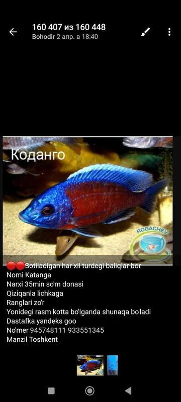 Африканиски молекла сотилади