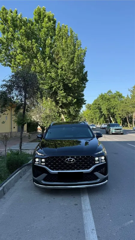 Hyundai Santafe yangi polniy bron va navarotlari bor