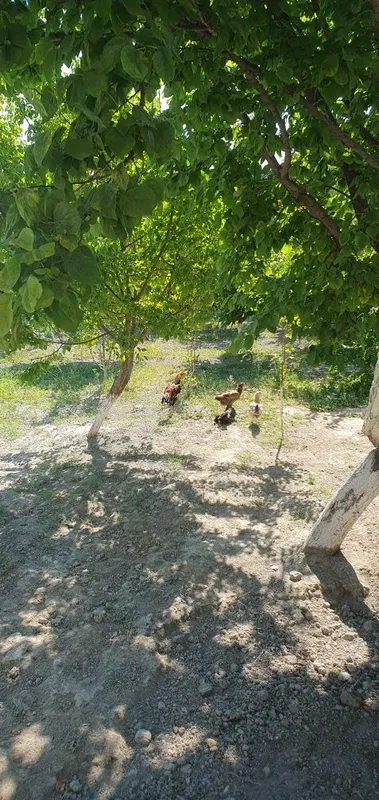 Ассалому алейкум 4