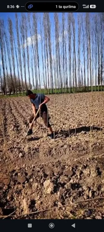 Uchaska sotiladi manzil Toshkent viloyati Boʻka tumani Lesinka qishlog 3 Uchaska sotiladi manzil Toshkent viloyati Boʻka tumani Lesinka qishlog 3