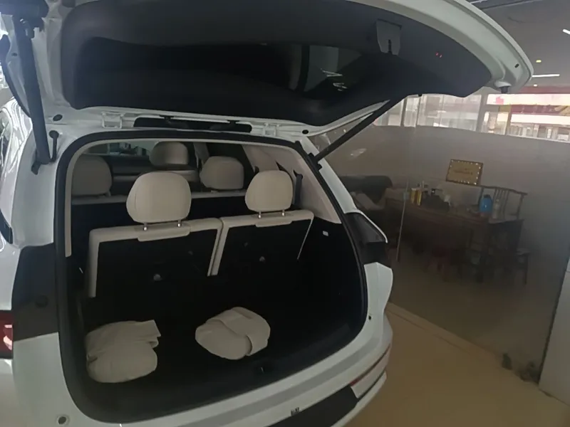 BYD Tang L, 670km электричка 9