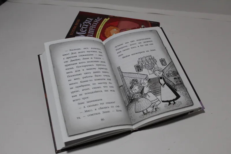 Книги "Мейзи Хитчинс" — фото 2