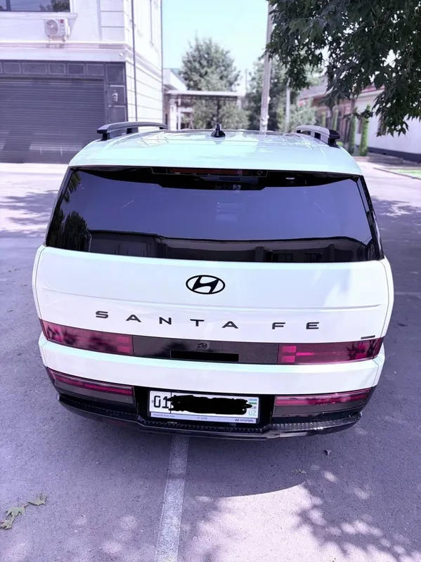 Hyundai Santa fe 6