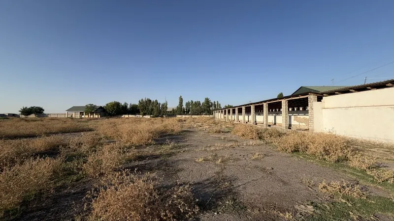 117 sotix kadastrli biznes hududi sotiladi | Quyi Chirchiq 3