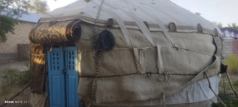 Қора уй яхши сақланган