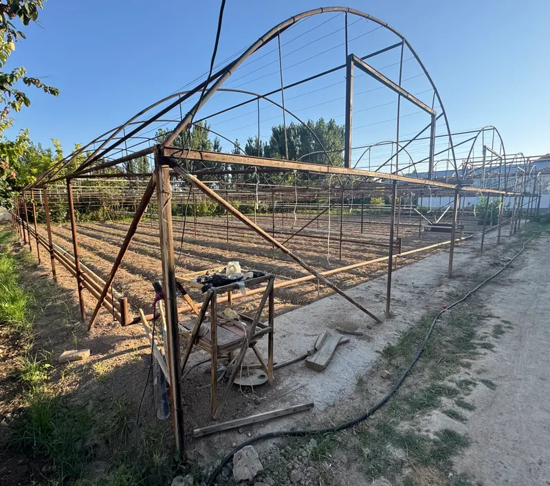 теплица (парник) 1 теплица (парник) 1